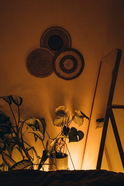 Tips for Creating a Cozy and Inviting Home Environment on a Budget